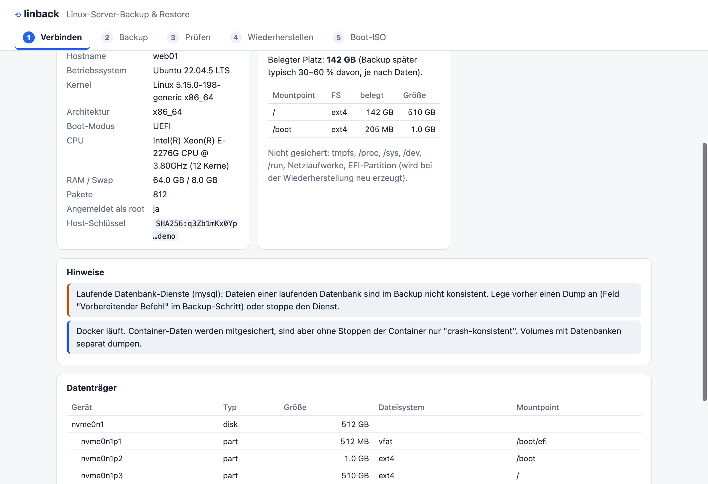 Die Analyse eines Servers: System, was gesichert wird, Hinweise zu laufenden Datenbanken